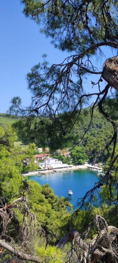 Skopelos Country House Diamantis & Chrisi Agnontas Exterior foto